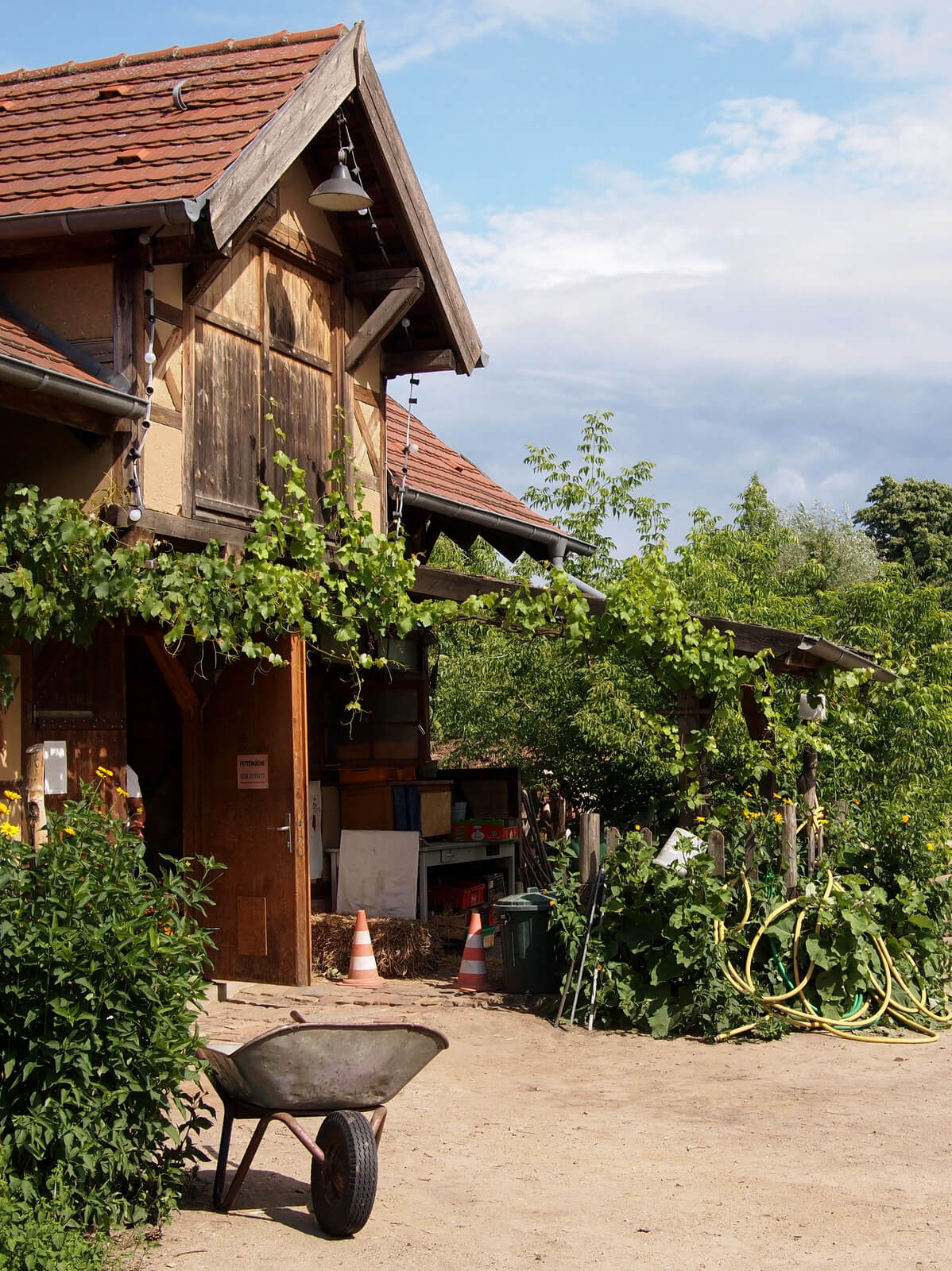 Zoo Berlin