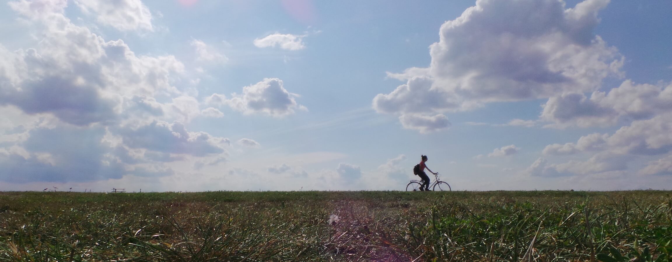 Tempelhofer Feld Fahrradfahren