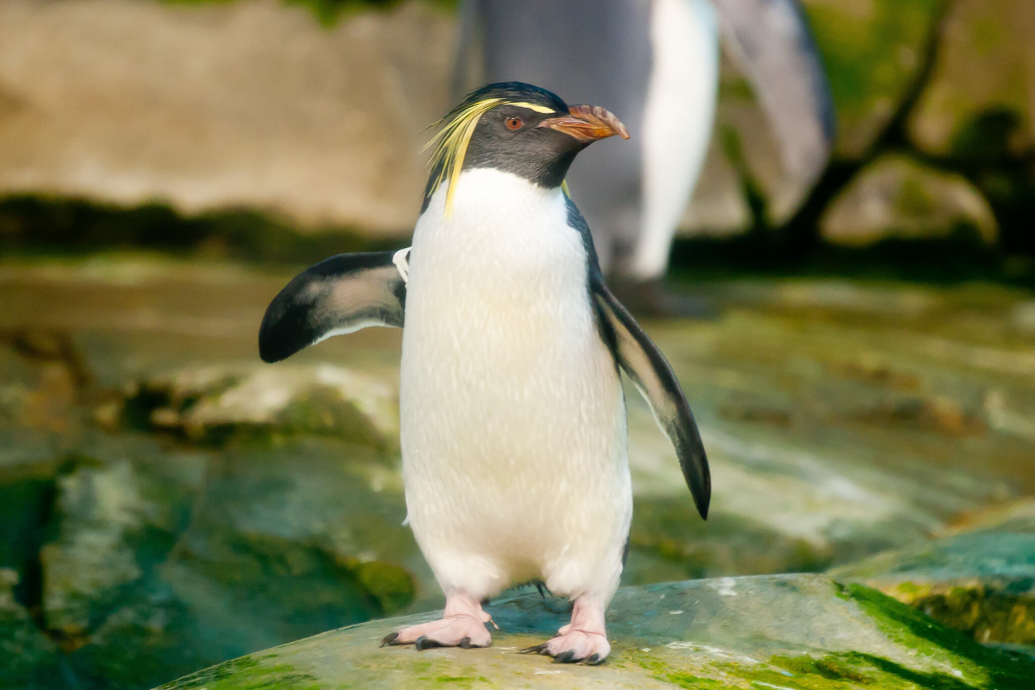 berlin_kinder_zoo_web Berlin mit Kindern – so wird die Hauptstadt ein Spaß für alle