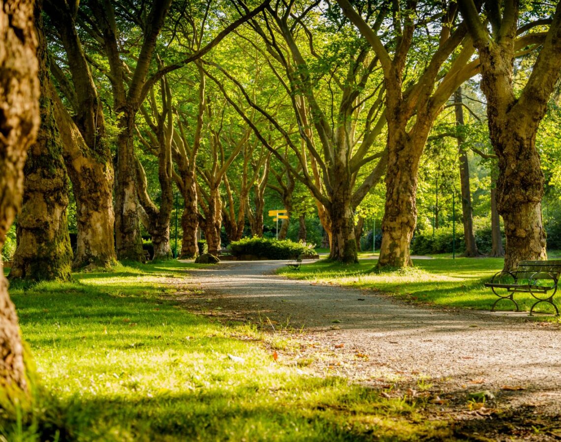 mike-benna-SBiVq9eWEtQ-unsplash Park mit Bank